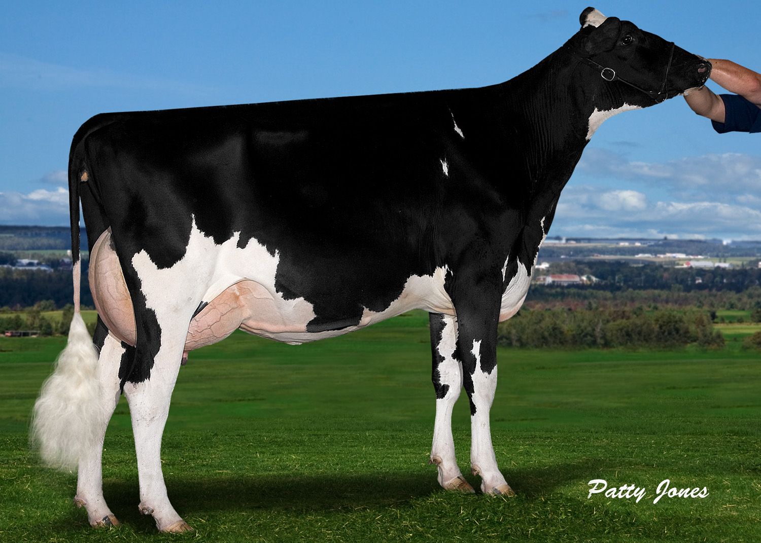 Comestar Model Milie Toystory VG 2Yr